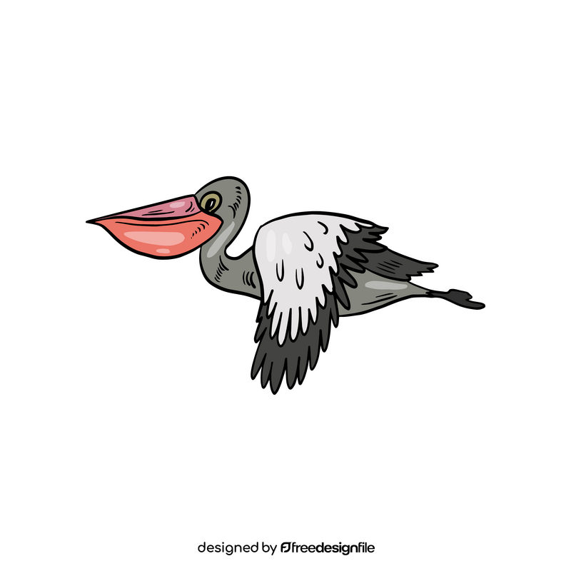 Pelican bird clipart