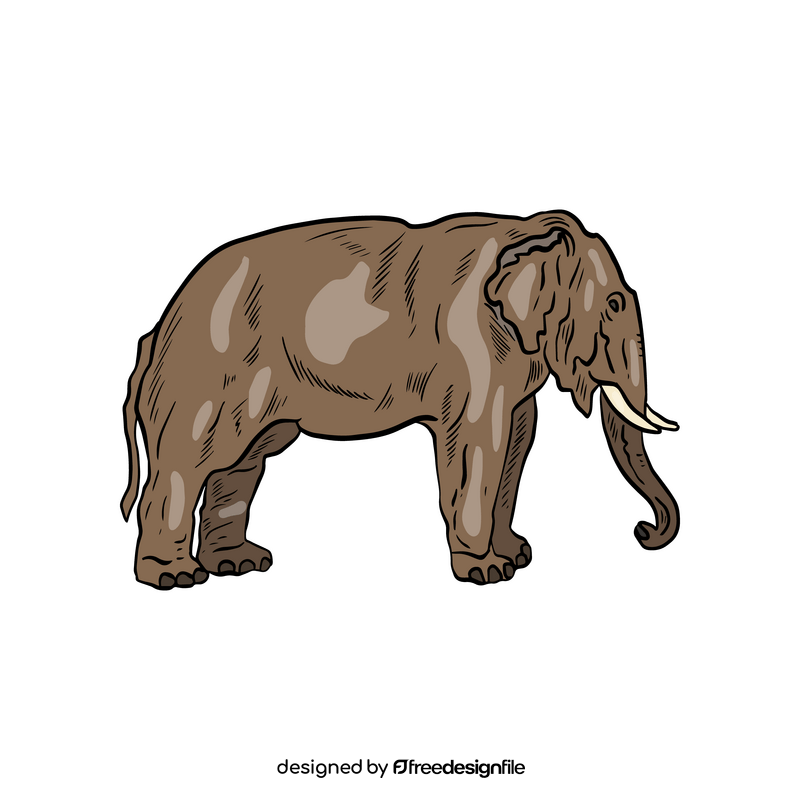 Elephant animal drawing clipart