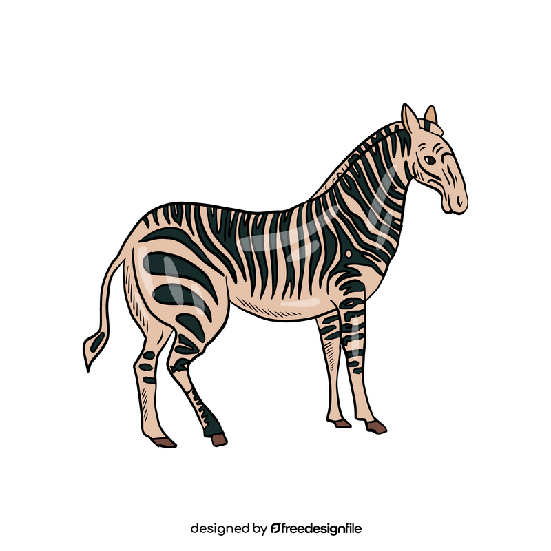 Cute zebra animal drawing clipart