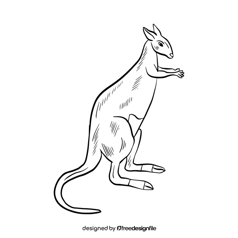 Kangaroo animal black and white clipart