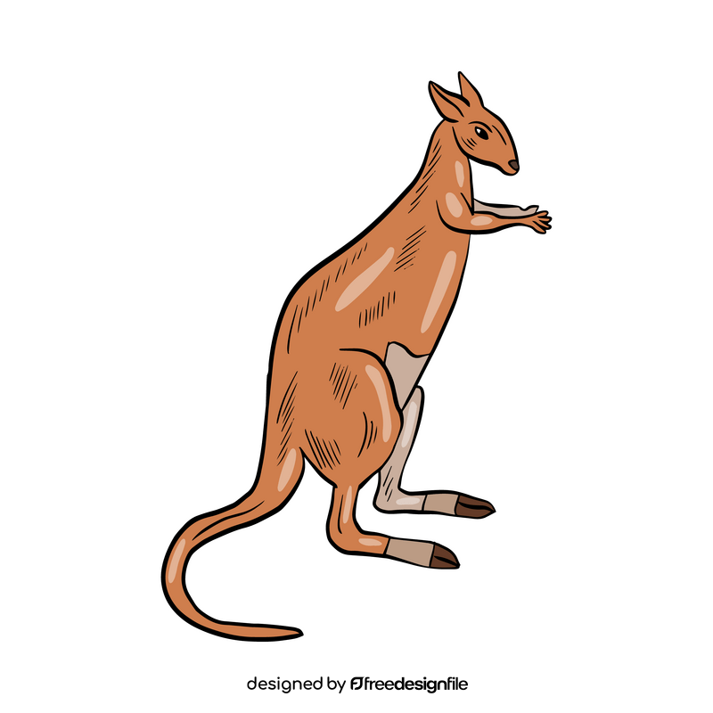 Kangaroo animal clipart