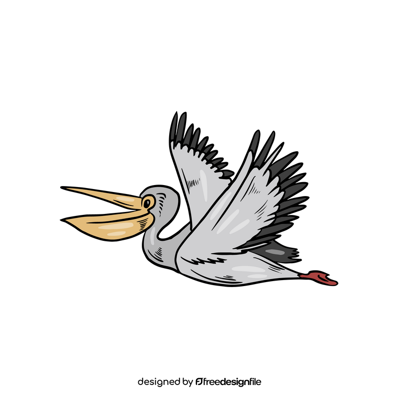 Cartoon Pelican bird illustration clipart