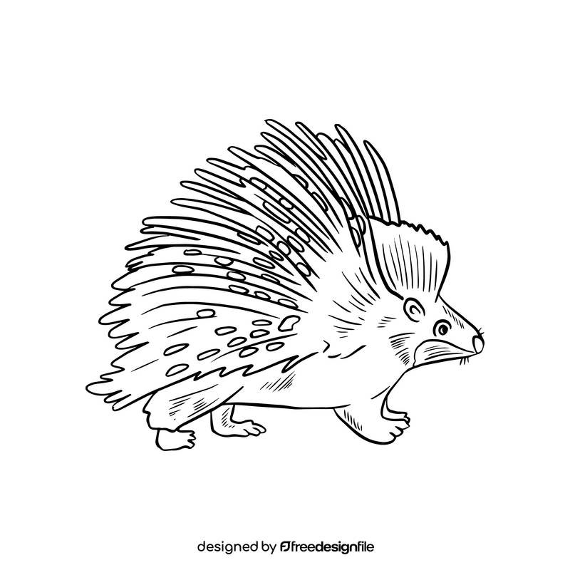 Porcupine black and white clipart