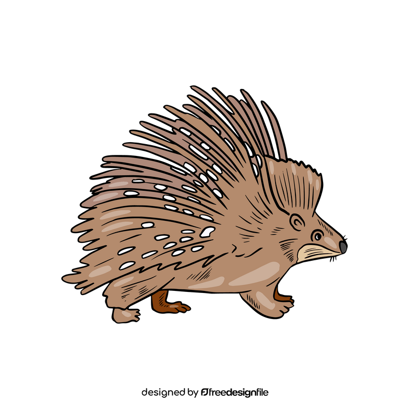 Porcupine clipart
