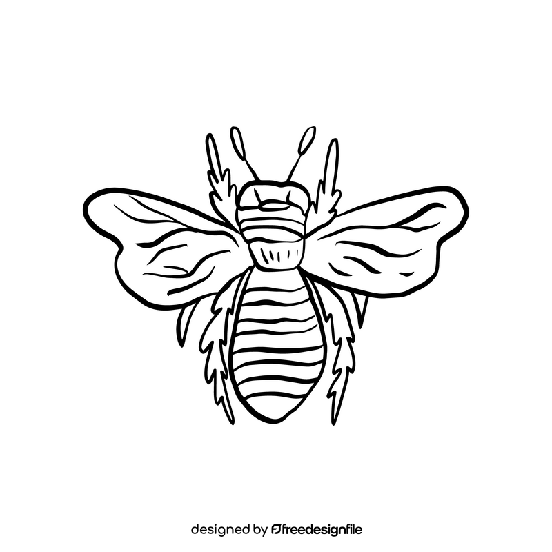 Bee insect cartoon black and white clipart