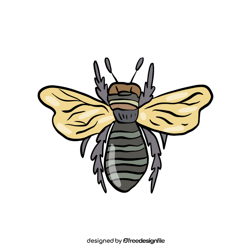 Bee insect cartoon clipart