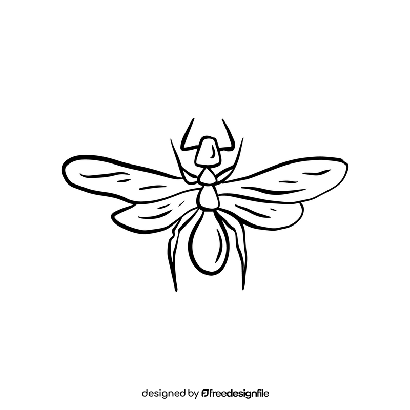Dragonfly insect cartoon black and white clipart