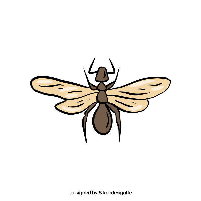 Dragonfly insect cartoon clipart