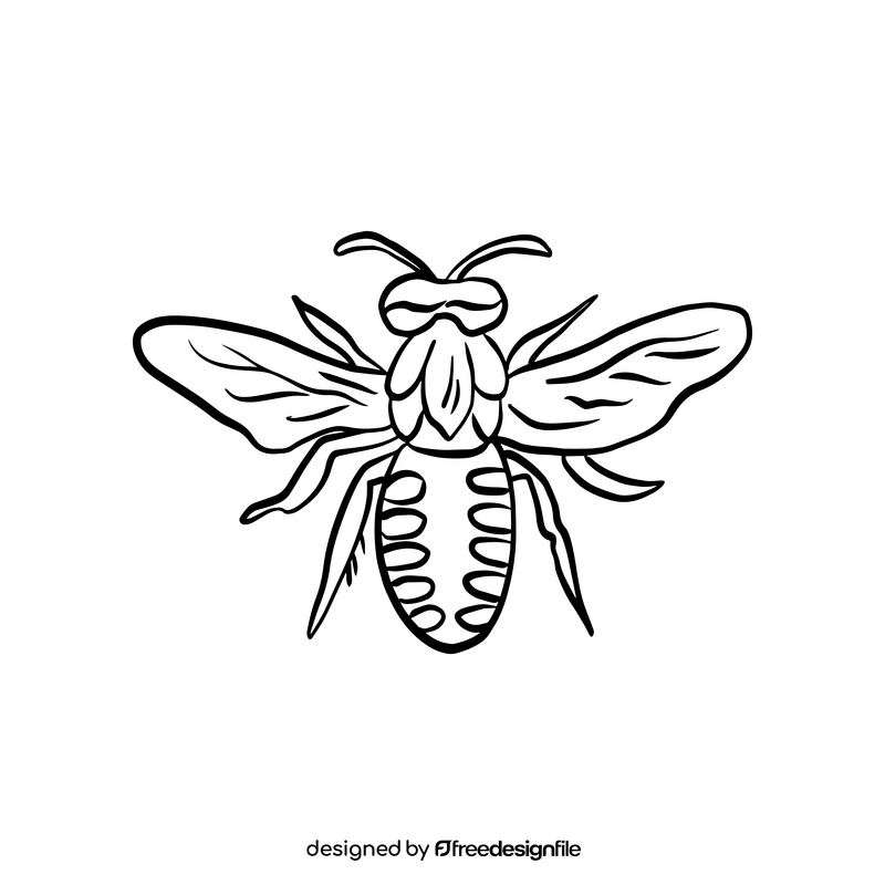 Bee insect black and white clipart