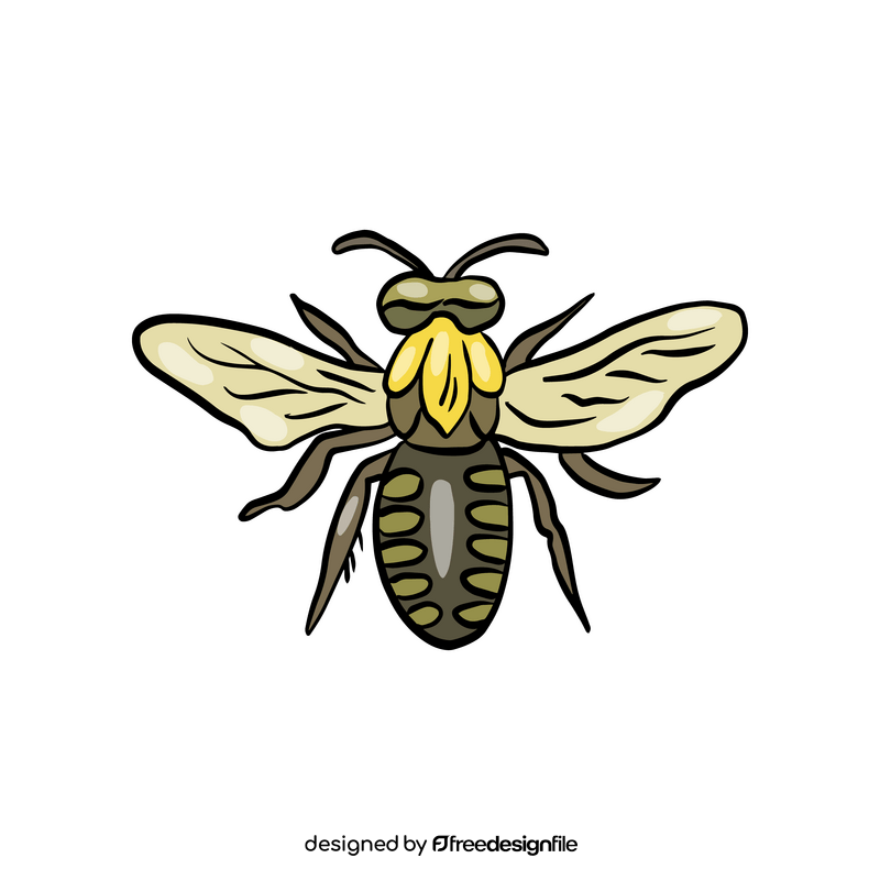 Bee insect clipart