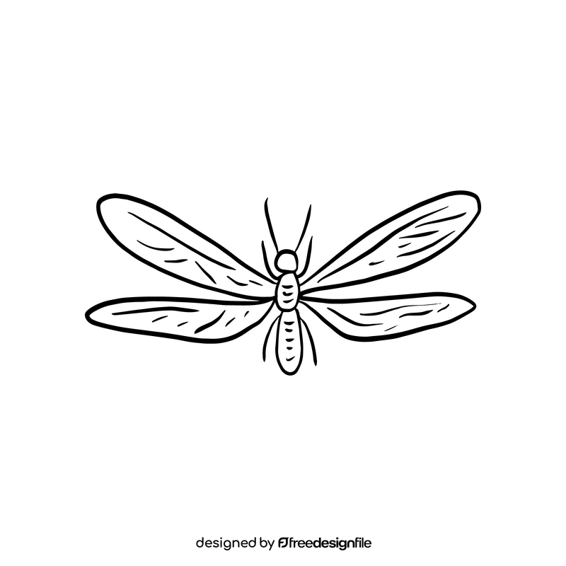 Dragonfly insect black and white clipart