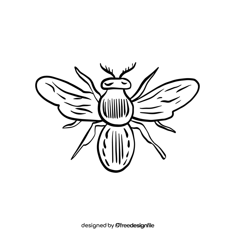 Wasp black and white clipart