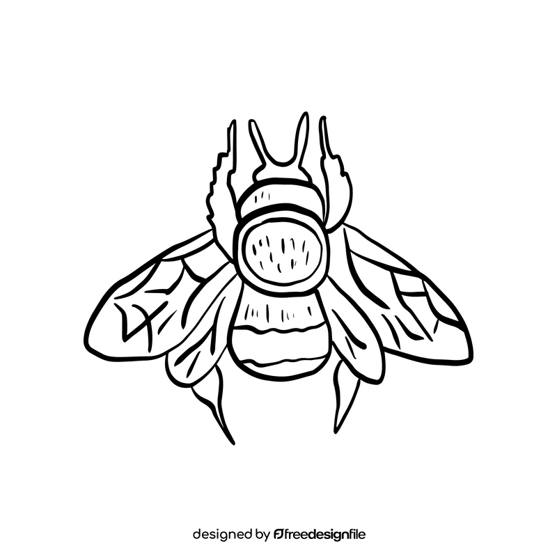 Bumblebee black and white clipart