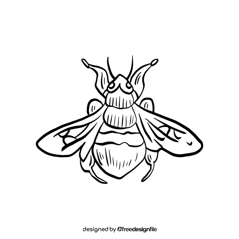 Bumblebee insect black and white clipart