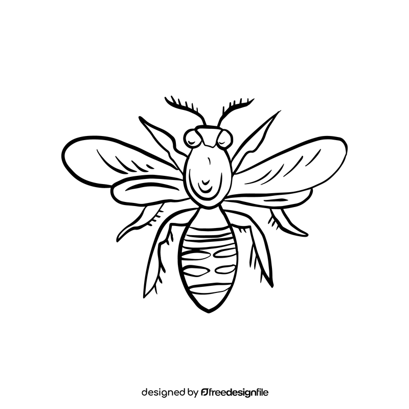 Wasp insect black and white clipart