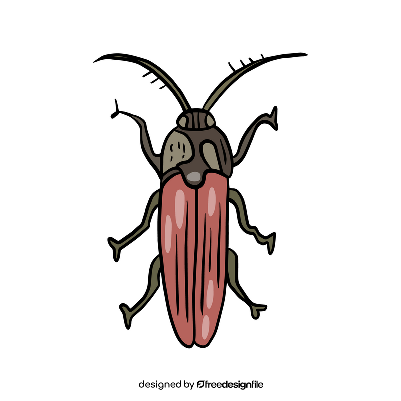 Beetle insect clipart