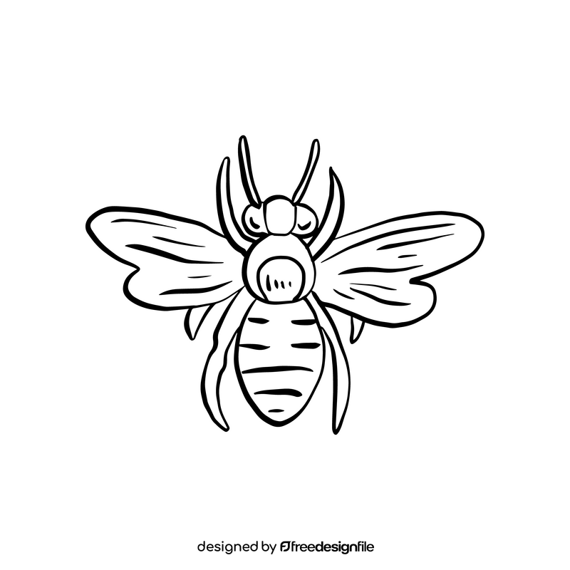 Free wasp insect black and white clipart
