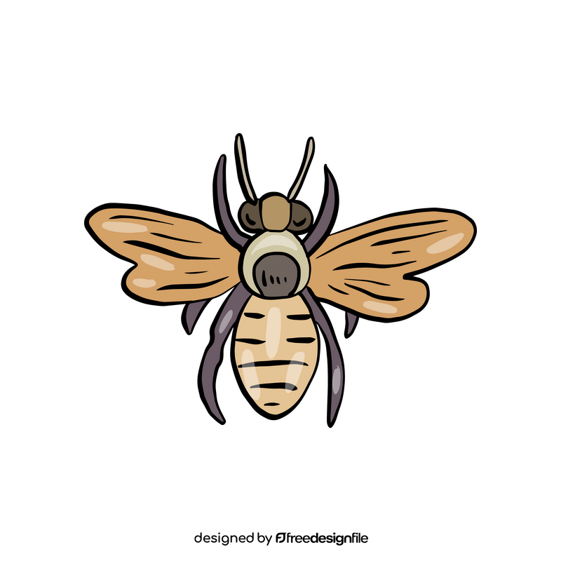 Free wasp insect clipart