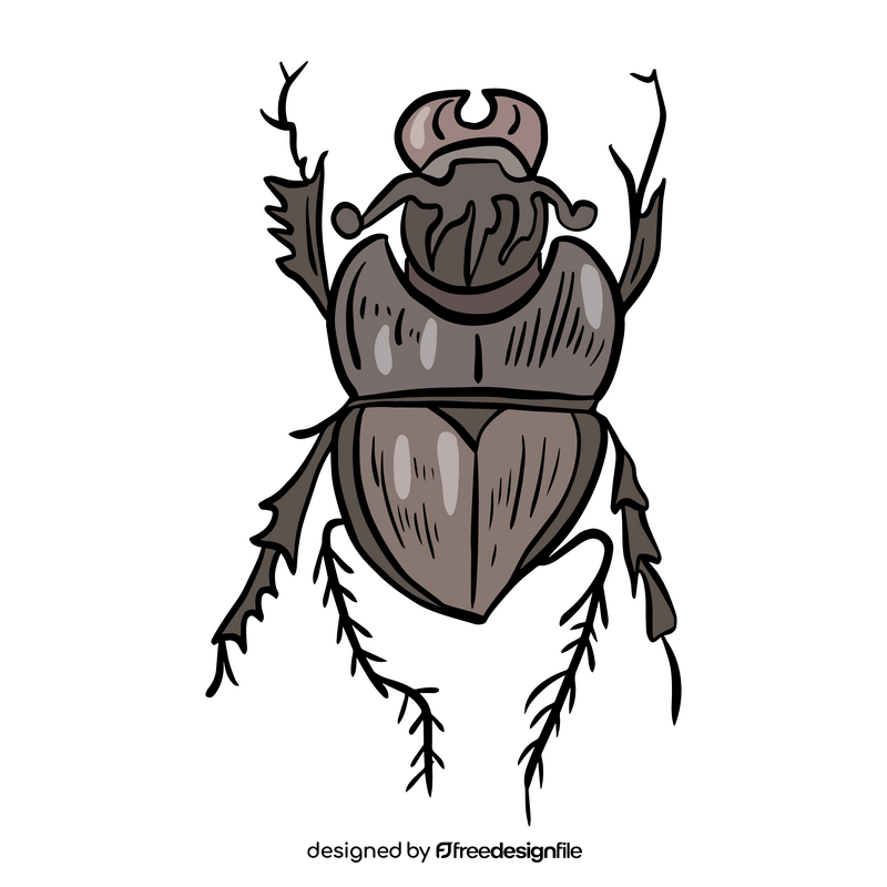 Free beetle insect clipart
