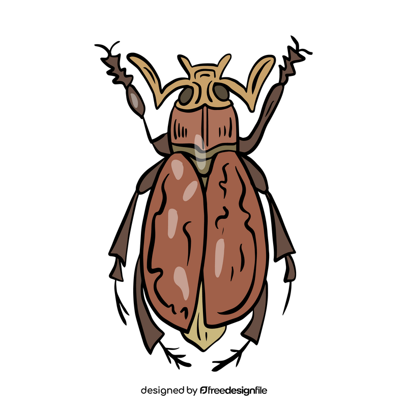 Cartoon beetle insect clipart