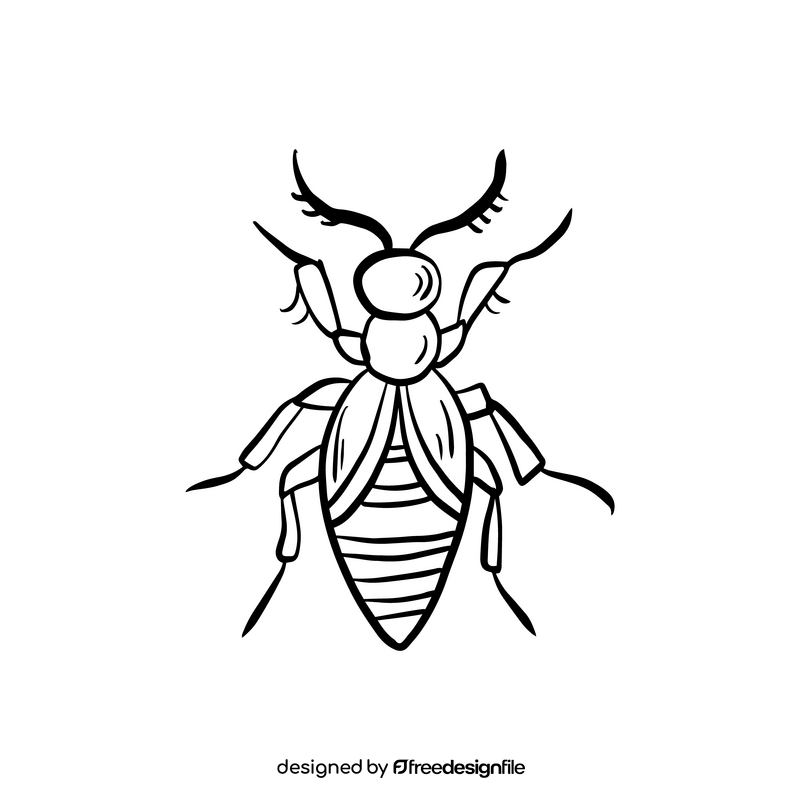 Beetle insect black and white clipart