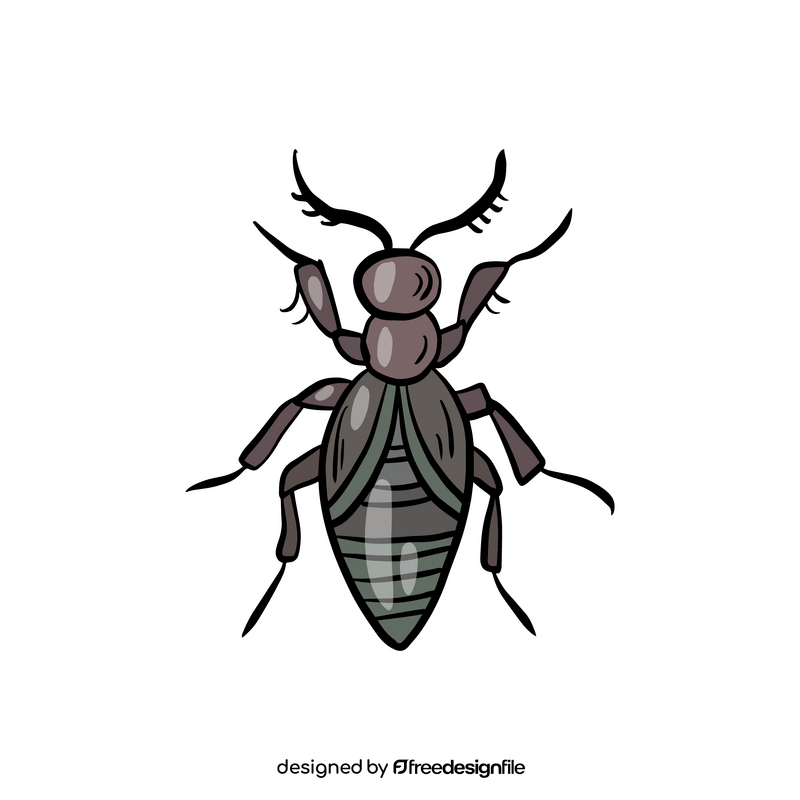 Beetle insect clipart