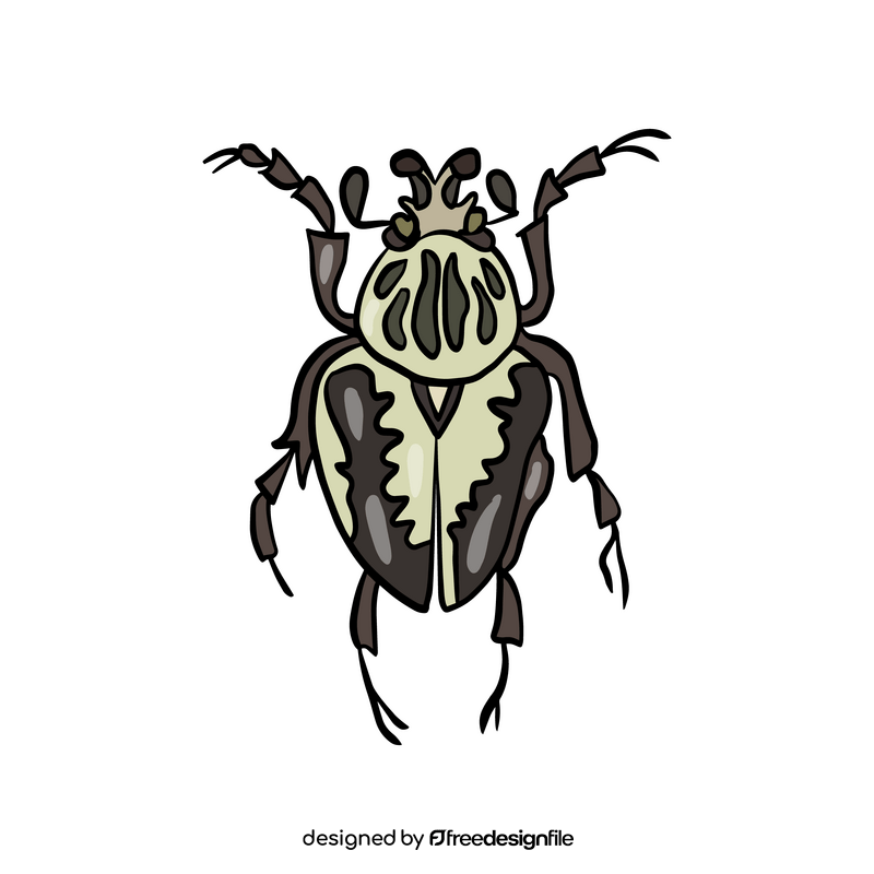 Beetle insect clipart free download