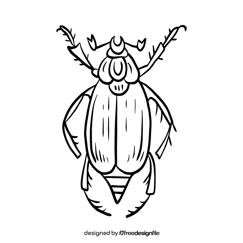 Beetle insect drawing black and white clipart