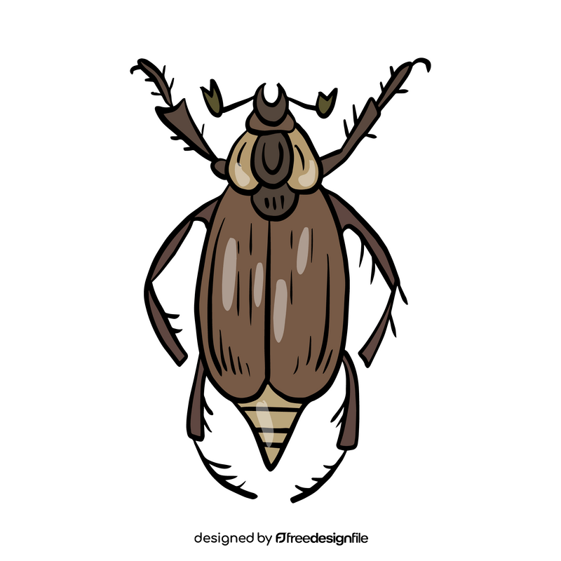 Beetle insect drawing clipart free download
