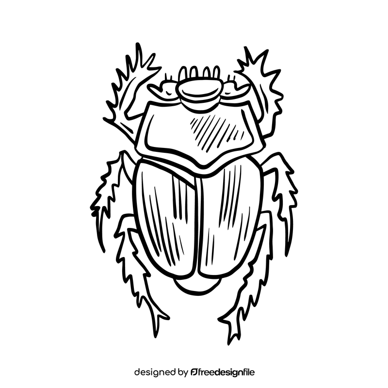 Black beetle drawing black and white clipart