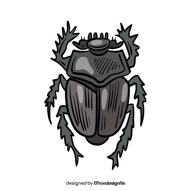Black beetle drawing clipart