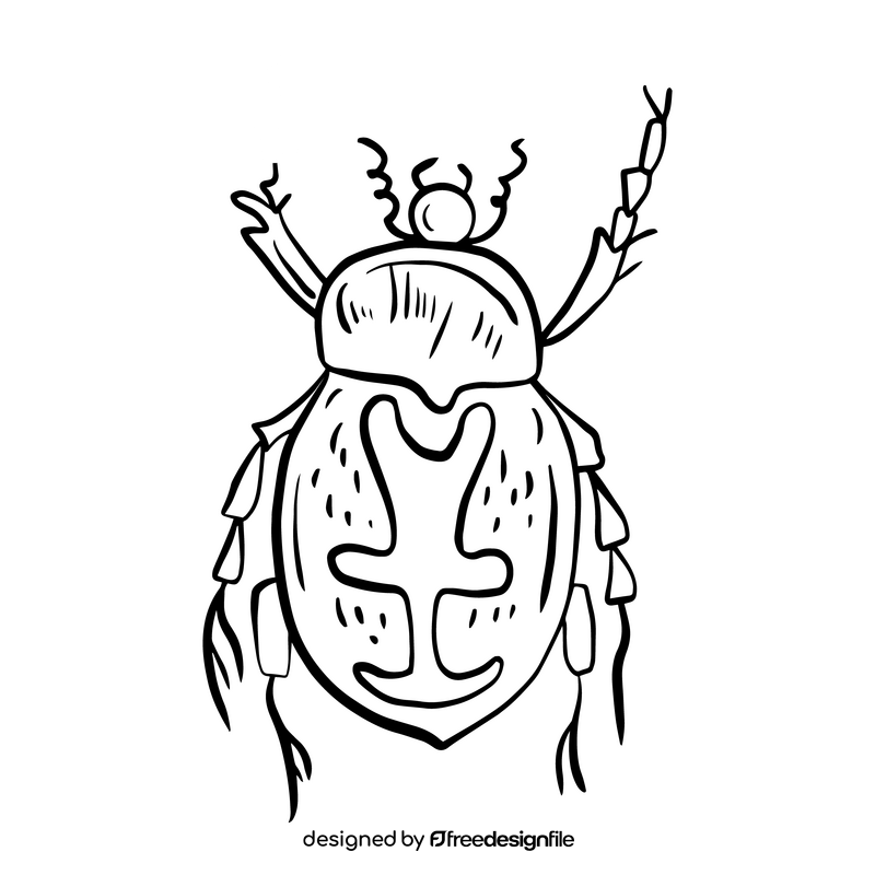 Beetle insect illustration black and white clipart