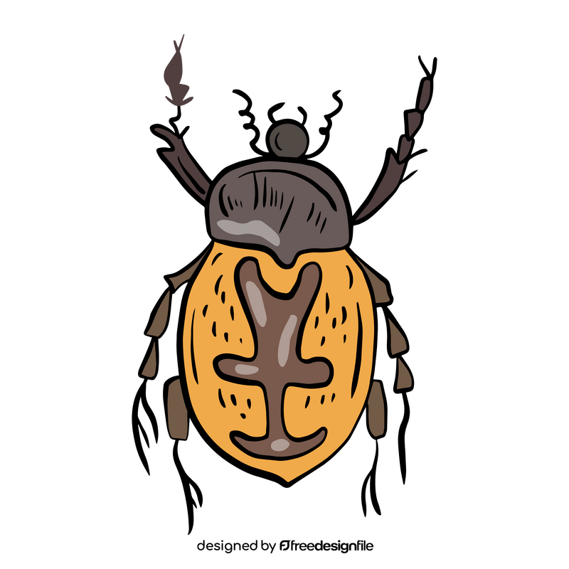 Beetle insect illustration clipart