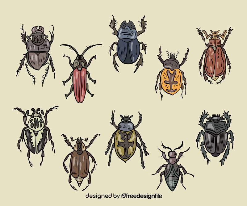 Free beetles vector