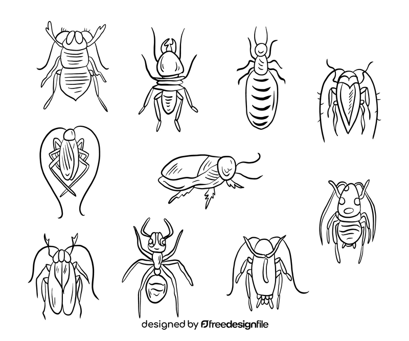 Crawling insects black and white vector