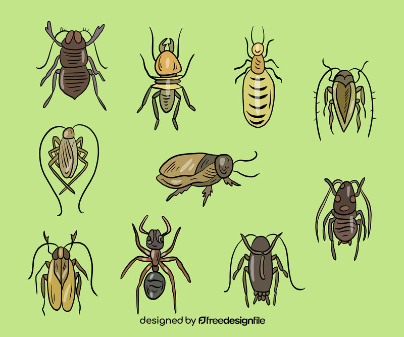 Crawling insects vector