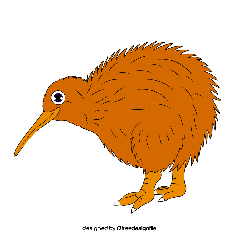 Kiwi bird clipart
