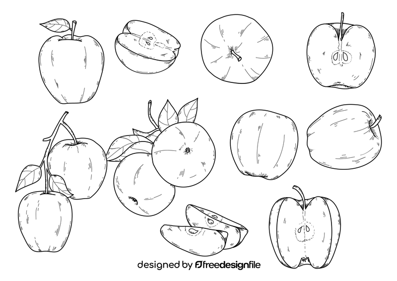Apple drawing set black and white vector