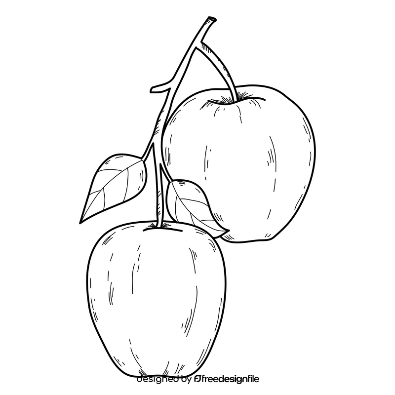 Apples drawing black and white clipart