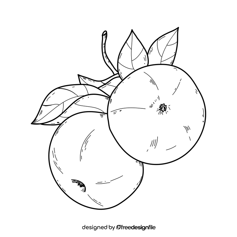 Red apples drawing black and white clipart