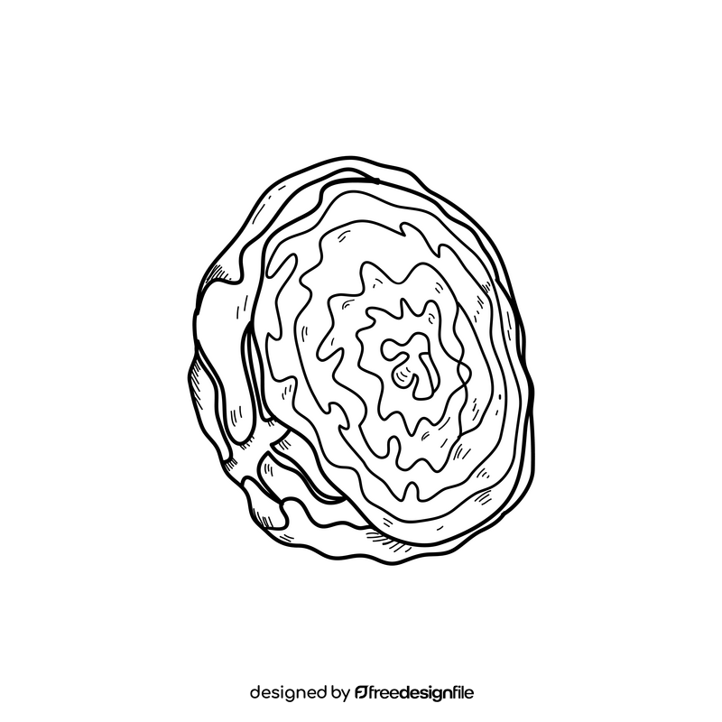 Cabbage Hand Drawing Sketch Vector Illustration Isolated Vegetable Engraved  Style Stock Vector by ©AcantStudio 535951810