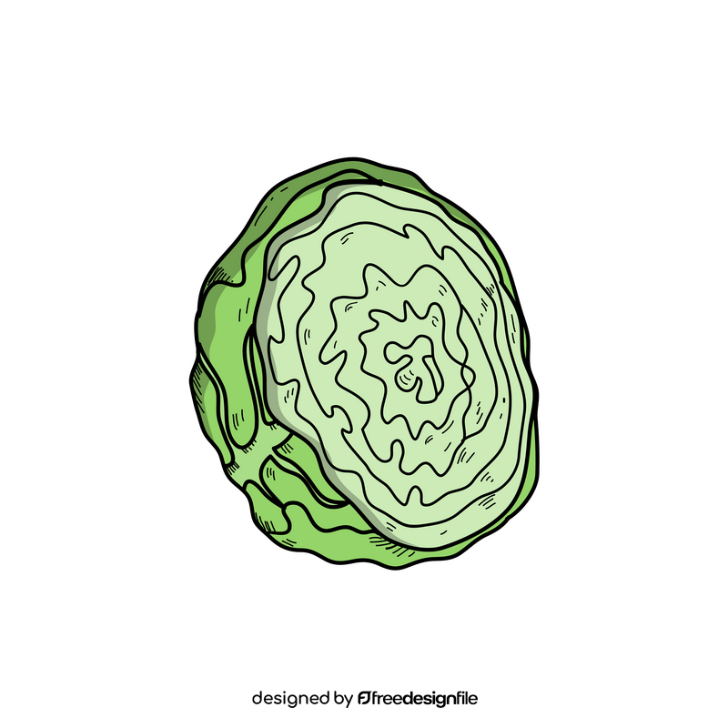 Cabbage cut in half drawing clipart