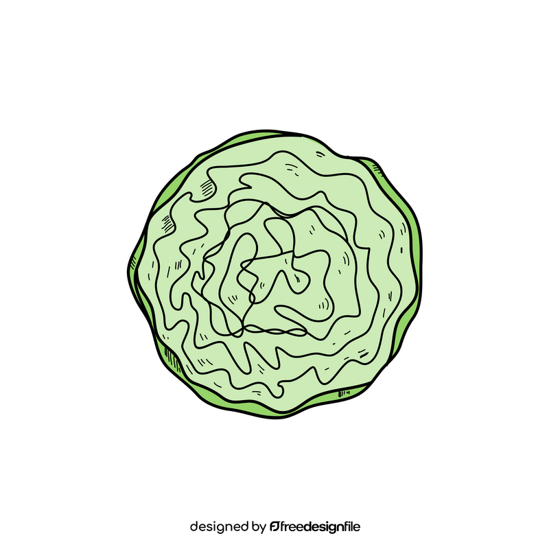 Cabbage realistic drawing clipart