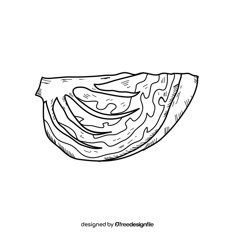 Cabbage cut black and white clipart