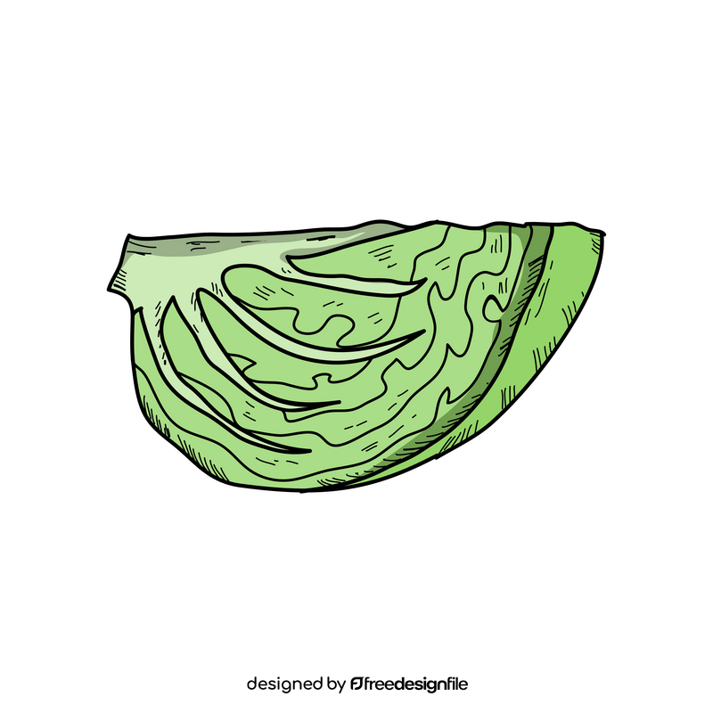 Cabbage cut clipart