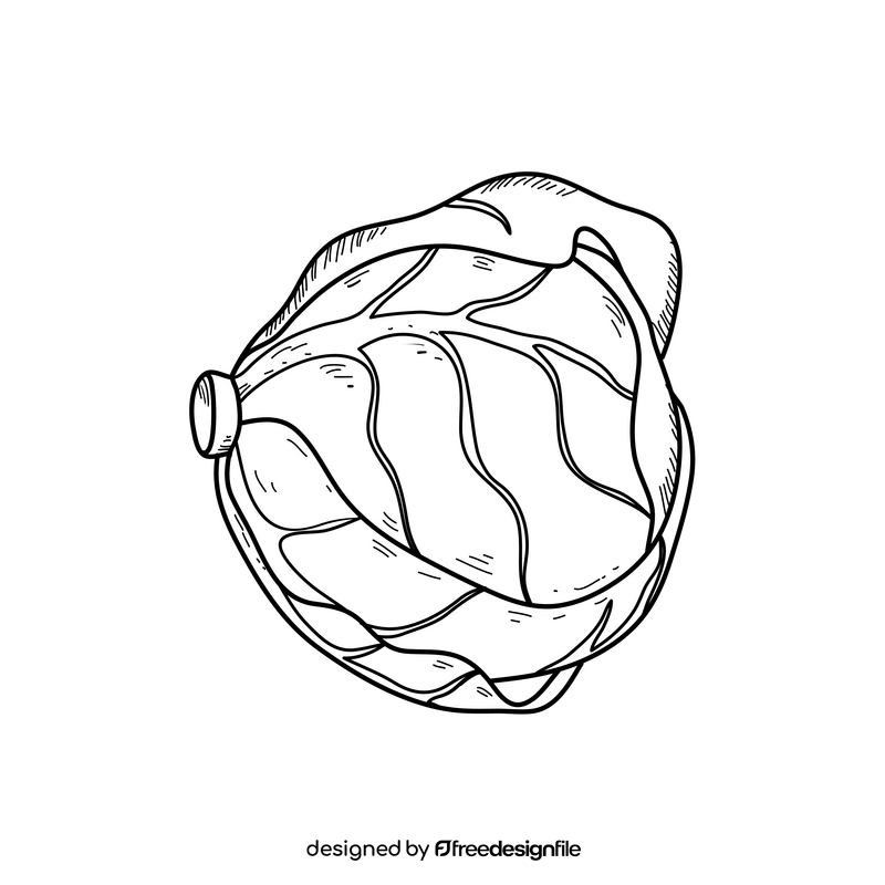 Cabbage vegetable drawing black and white clipart