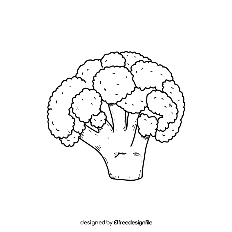 Cauliflower realistic drawing black and white clipart