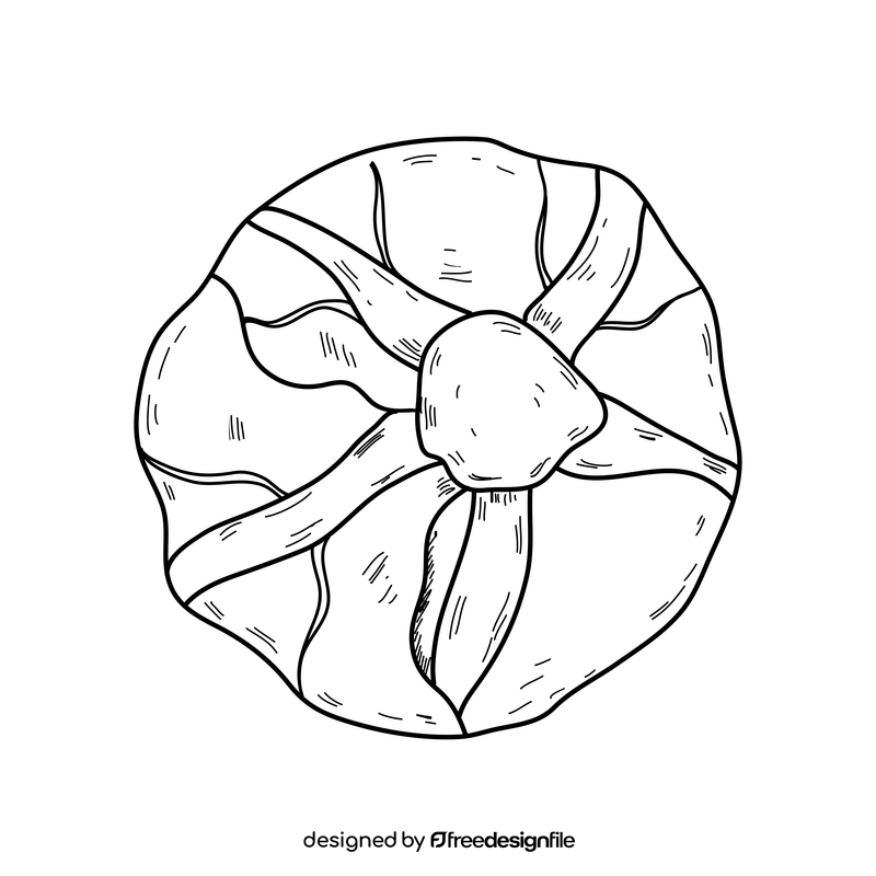 Cabbage line drawing black and white clipart