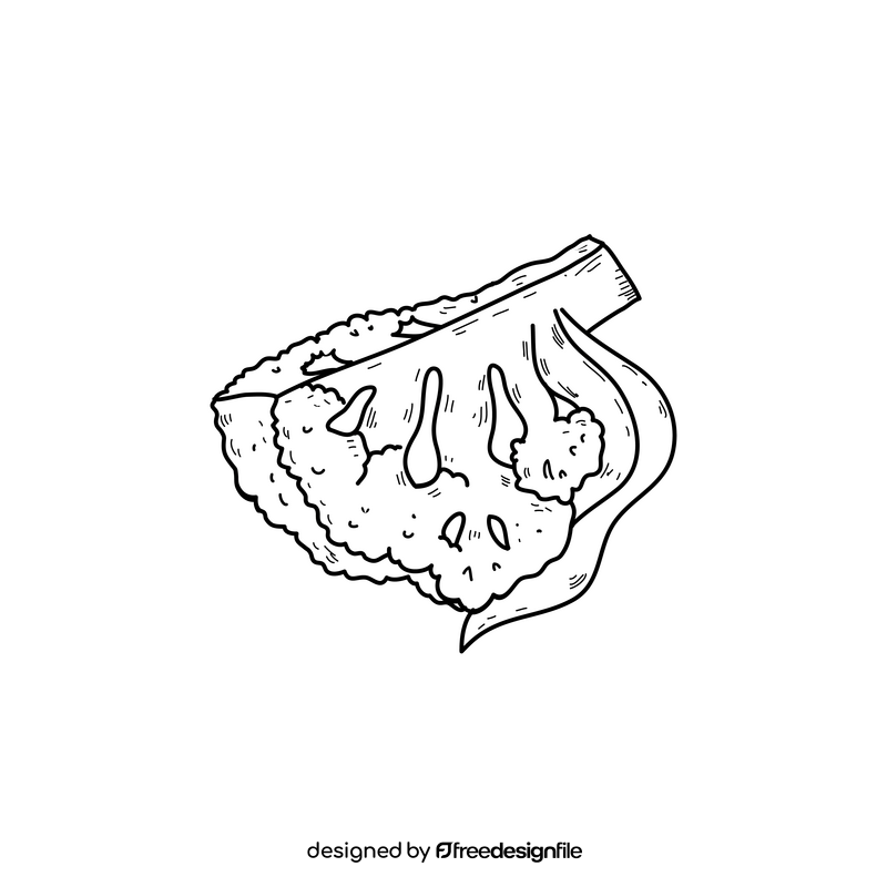 Cauliflower slice drawing black and white clipart