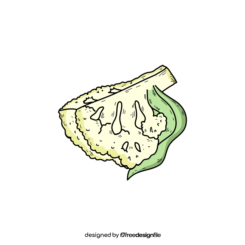 Cauliflower slice drawing clipart